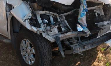 Una camioneta impactó fuertemente contra un animal vacuno en Ruta N°28