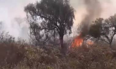 Chepes: incendio de gran magnitud se visualizó al este de nuestra ciudad