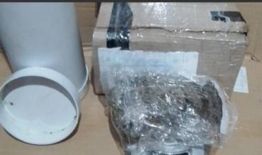 Detuvieron a un pasajero que transportaba cocaína