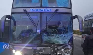 Micro de larga distancia colisionó con un animal, solo se lamentaron daños materiales