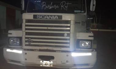 Camión impactó contra un animal vacuno en Ruta N°29