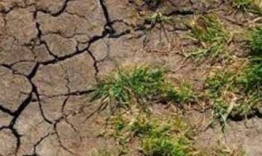 Productores de Los Llanos plantearon el problema de sequía en Nación