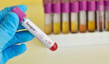 Qué es el dengue hemorrágico y cómo detectarlo