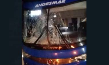 Patquia: colectivo de larga distancia colisionó a un caballo por Ruta Provincial N°27