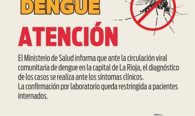 Dengue en La Rioja: Se reportaron 345 nuevos casos y una muerte en la última semana