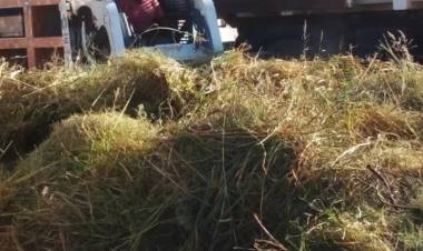 Chepes: limpieza y desmalezamiento en instituciones y espacios verdes