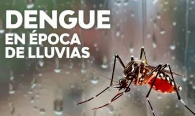 En época de lluvias es determinante prevenir el dengue