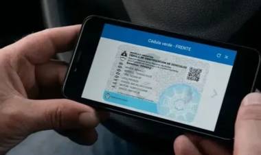 Vehículos: tarjeta azul y la tarjeta verde no tendrán vencimiento