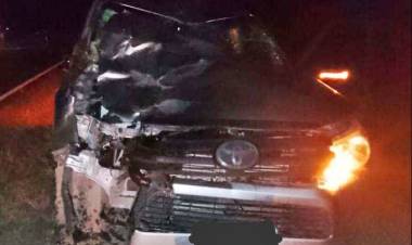 Desiderio Tello: Camioneta chocó contra un caballo en ruta 79