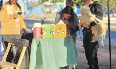 Chepes: Desfile de mascotas y jornada de vacunación