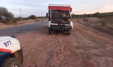 Nuevo accidente vial que involucra a los animales sueltos en la ruta provincial N°29