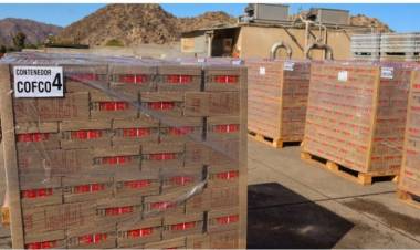 Agroandina exportó tomate cubeteado por primera vez a China
