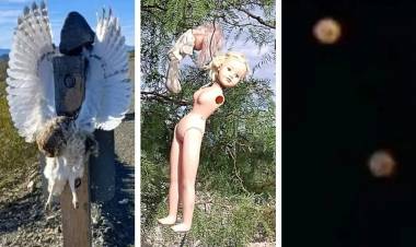 San Juan: Encontraron un buho crucificado, muñecas mutiladas y las increíbles historias paranormales en Jáchal