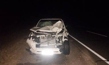 La intendenta de Santiago Del Estero se accidentó rumbo a La Rioja