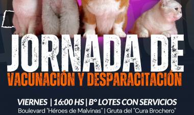 Atención Vecinos: Campaña de Vacunación y Desparasitación para perros y gatos