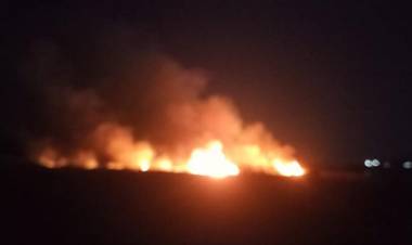 Se extinguió el incendio forestal del Dique de Portezuelo