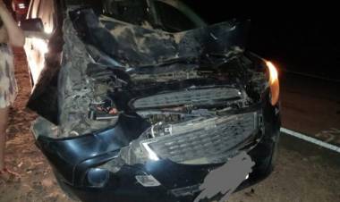 Automóvil chocó con caballo en cercanías de Patquia