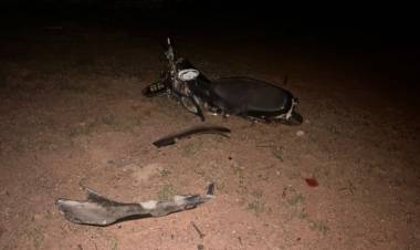 Milagro: chocó contra una vaca y cayó a la banquina