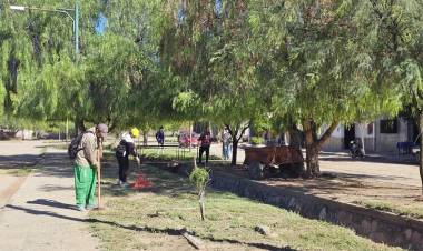 Operativos de Limpieza y Desmalezamiento, se continua con el embellecimiento de espacios publicos