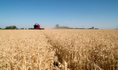 Anunciaron la baja temporal de las retenciones a los principales cultivos
