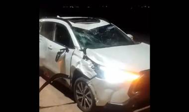 Automóvil impactó contra un caballo: no hubo víctimas fatales