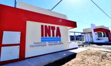 Chepes: Rompieron una puerta de las oficinas del INTA