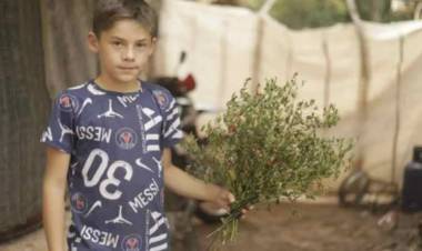 Malanzán: Con 10 años, niño empieza su propio negocio de hierbas medicinales