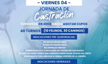 Chepes: Jornada de Castración Gratuita en el Centro Integrador Comunitario