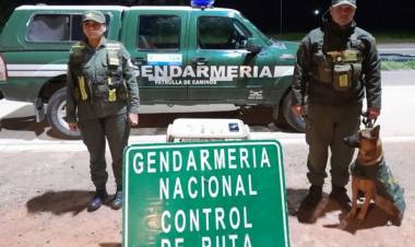 Gendarmería secuestró cocaína en Talamuyuna