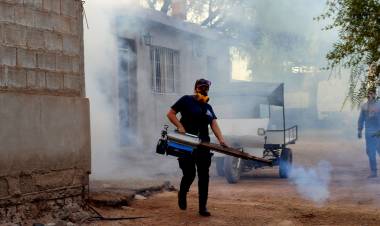 Dengue: tareas de fumigación en barrios de la Zona Norte