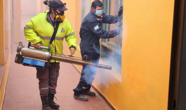 Lucha contra el Dengue: mega operativo de fumigación en instituciones públicas