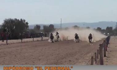 Chepes: Jinete sufrió una caída, pero se encuentra fuera de peligro