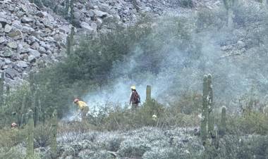Se registran tres focos de incendio en la Provincia