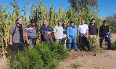 Medias Lunas Fértiles: representantes del programa “Impacto Verde” recorren campo Sol de Mayo