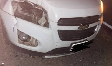 Animal suelto en la Ruta 38 provocó fuerte siniestro vial