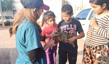 Campaña de vacunación y desparasitación en el interior