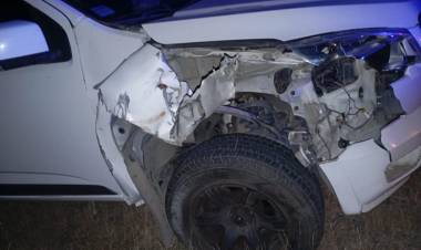 Olta: Una camioneta chocó contra una vaca en Ruta 79: el conductor resultó ileso