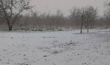 Ola polar en La Rioja: mínimas bajo cero en más de 10 localidades del interior