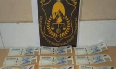 Chamical: Mujer denunció robo de 600 mil pesos y luego retiró la denuncia tras descubrir que el autor fue su propio nieto