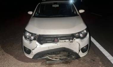 Una cabra provocó un accidente en Ruta Nacional Nº 79