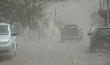 Alerta meteorológica: pronostican fuertes vientos con ráfagas de hasta 100km/h