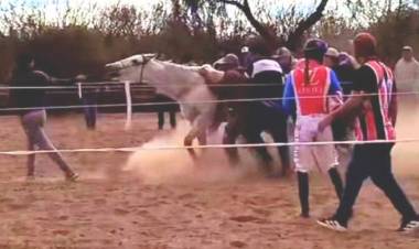Chamical: Denuncian brutal maltrato animal durante una carrera de caballos en El Quebrachal