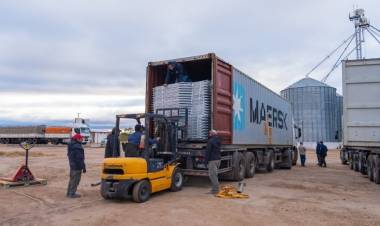 Cerdo de Los Llanos tendrá una nueva nave de gestación