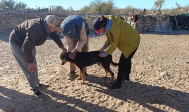 Interior Departamental: Campaña de desparasitación y vacunación antirrábica