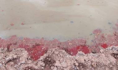 Vecinos de La Jarilla preocupados por aguas rojizas tras la tormenta de Santa Rosa