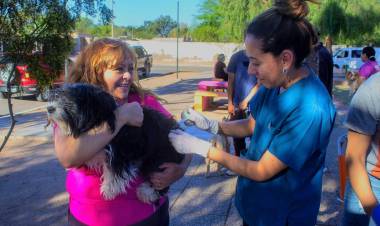 Campaña de vacunación y desparasitación en la plazoleta Eva Perón