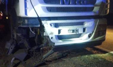 Catuna: Camión chocó una vaca en Ruta 79
