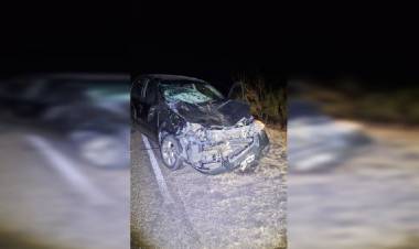 Policía resultó ileso tras colisionar con un animal vacuno en la madrugada