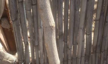 Una discusión familiar terminó con un hombre golpeado en Ñoqueve