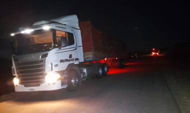 Camión derrapó y produjo choque en cadena por Ruta N°29